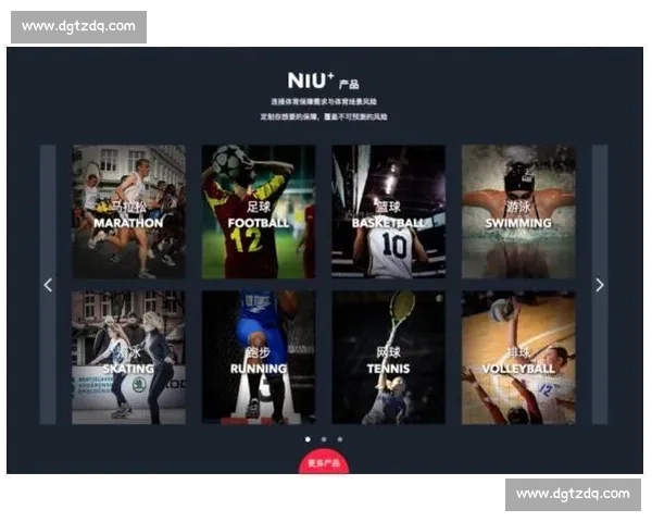 全面解析体育官网平台入口使用指南与注册流程详细步骤